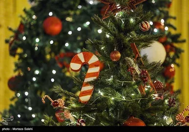 حال و هوای کلیسای وانک در آستانه سال نو میلادی