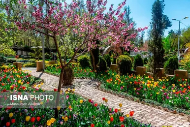 ایران زیباست؛ نهمین جشنواره لاله‌ کرج