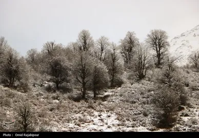 زمستان در اشکورات گیلان