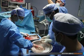 بانوی مرگ مغزی در مشهد به چهار بیمار زندگی دوباره بخشید (۲ اردیبهشت ۱۴۰۳)