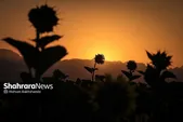 پیش‌بینی هواشناسی مشهد و خراسان رضوی امروز (چهارشنبه، ۴ شهریور ۱۴۰۵) | ثبات دمایی تا اوایل هفته آینده