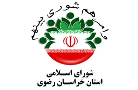 شوراهای اسلامی در جایگاه قانونی&zwnj;شان قرار ندارند