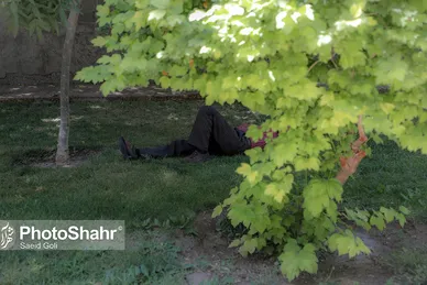گرمای هوا در مشهد