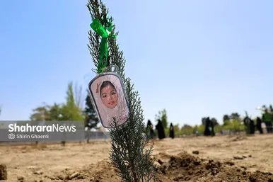 گزارش تصویری | «گلستان میناب» در بوستان جهان شهر