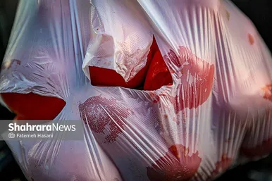 گزارش تصویری | غوطه در پلاستیک