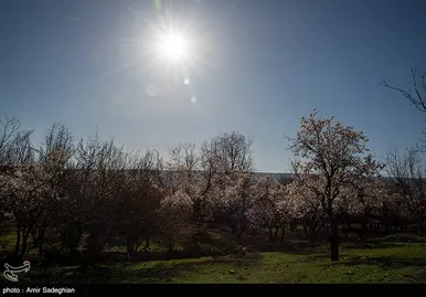 ایران زیباست | اندک اندک می‌رسد اینک بهار