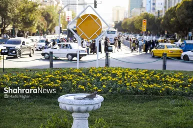 گزارش تصویری | پاییز بهاری مشهد
