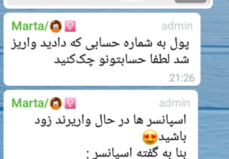 بازداشت مادر بزرگ سارق در مشهد