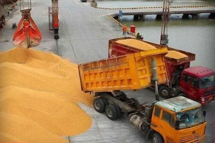 ذخایر گندم و کالاهای اساسی کشور ۱۰۰ درصدی شد