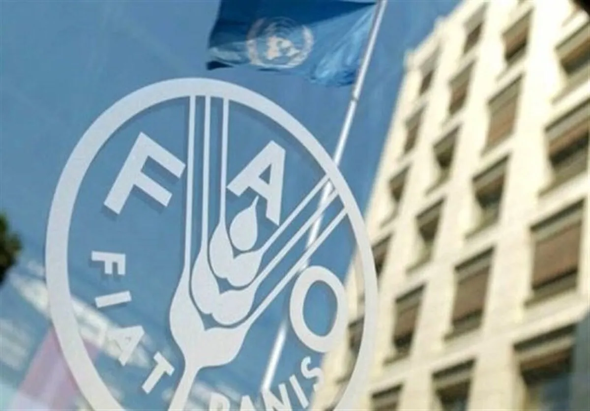 رشد ۲.۴ درصدی قیمت جهانی غذا در یک ماهه جنگ آمریکا علیه ایران