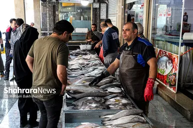 بازار ماهی فروشان در شهرک عرب‌های مشهد