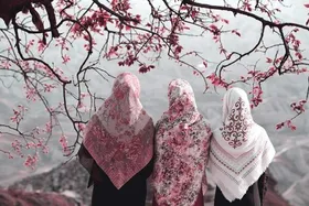 گفتگو با حجت&zwnj;الاسلام&zwnj; ماندگاری درباره شأن و منزلت دختران از منظر دین اسلام | در محضر بانوی کرامت