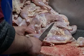 قیمت جدید مرغ اعلام شد (۲۹ مرداد ۱۴۰۱)