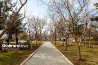 یعقوبی: بیش از ۲۰ هکتار فضای سبز جدید تا پایان خرداد ۱۴۰۵ به شهر مشهد اضافه می‌شود