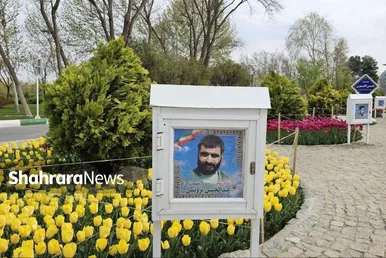 گل‌ آرایی بهاری در بهشت رضا(ع)