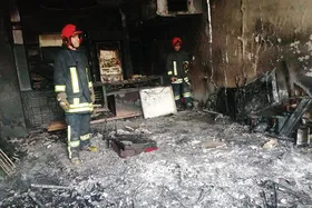درباره حادثه آتش سوزی که توله سگ&zwnj;های بازیگوش باعث آن شدند