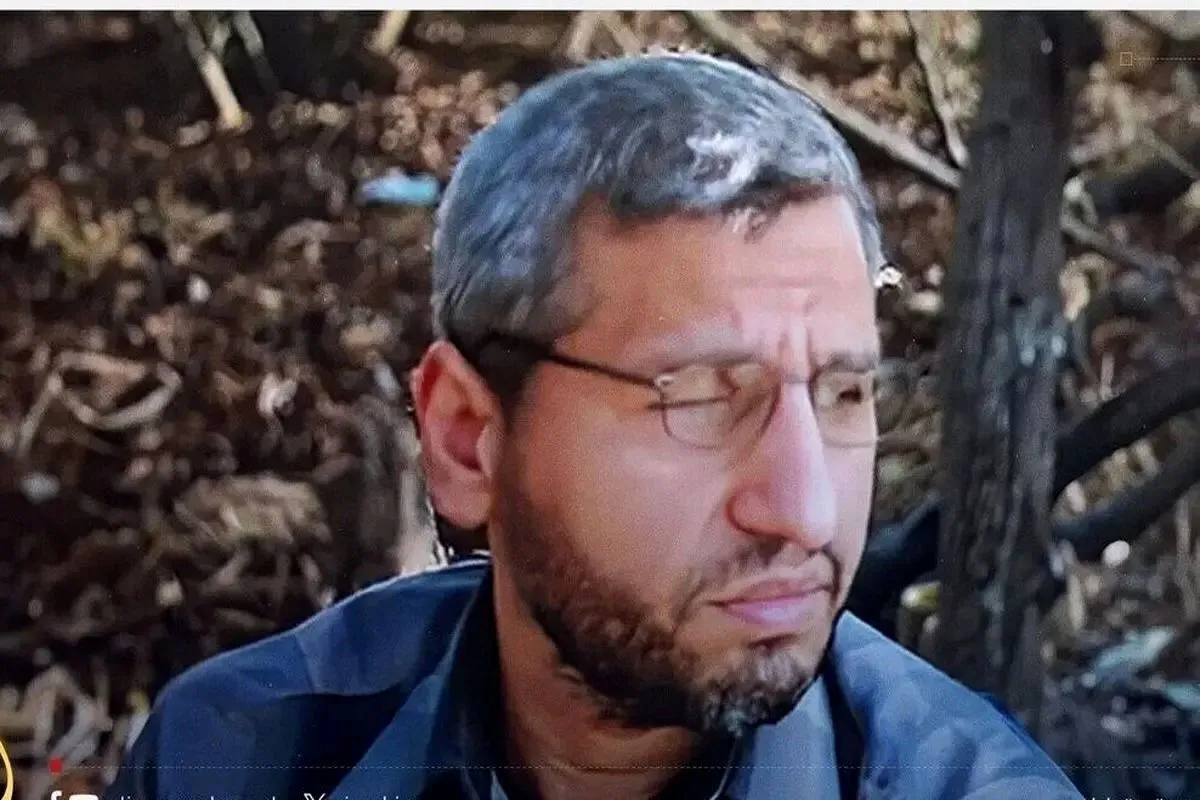 ویدئو| محمد ضیف که بود؟