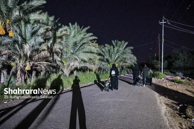 گزارش تصویری | پیاده روی شبانه زائران اربعین در طریق العلماء