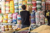 بازار خراسان رضوی از اقلام اساسی اشباع خواهد شد | تامین بازار استان برای میزبانی از زائران دهه آخر صفر ۱۴۰۵