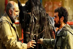 هادی حجازی فر با &laquo;ناتوردشت&raquo; به سینماهای کشور می آید + پوستر