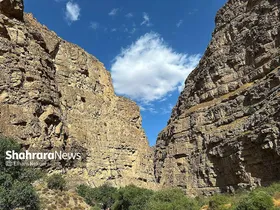 گزارش تصویری | طبیعت تابستانی دره شمخال
