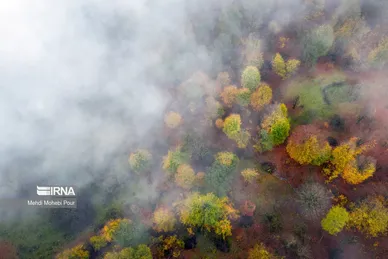 ایران زیباست | فصل هزار رنگ پاییز