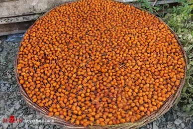 بام‌های طلایی خرو