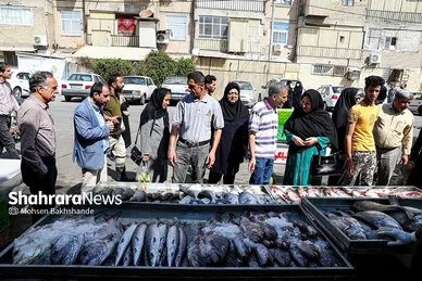 بازار ماهی فروشان در شهرک عرب‌های مشهد
