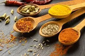 ادویه&zwnj;ها و چاشنی&zwnj;های مناسب برای غذا&zwnj;های گوشتی کدام&zwnj;اند؟