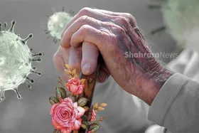 پدرانه&zwnj;هایی که کرونا بر باد داد