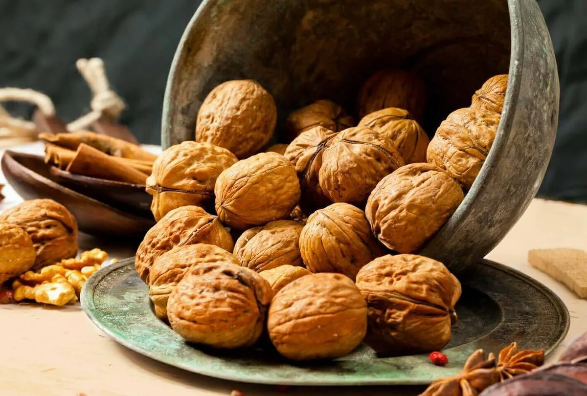 غذای مغز را بیشتر بشناسید
