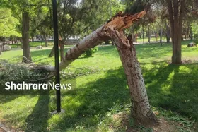 هر چه بادا باد!