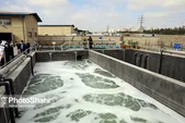 مشهد، نخستین «شهر دوستدار آب» در ایران | جزئیات طرح ابتکاری شهرداری مشهد برای مدیریت منابع آبی چیست؟