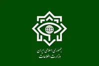 وزارت اطلاعات: خبرنگاران نقش بارزی در ناکامی سربازان رسانه‌ای دشمن داشتند