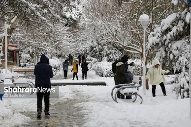 گزارش تصویری | بارش برف در مشهد