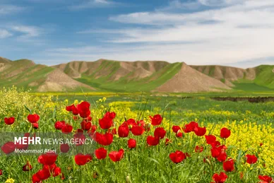 زیارتگاهی شگفت در میان تپه ها