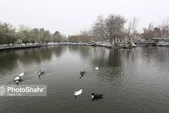 بارش باران و برف در خراسان رضوی | مشهد بارانی می‌شود (٢٣ آذرماه ١۴٠٢)