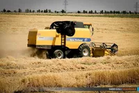پیش‌بینی برداشت ۴۰۰ هزار تن جو از اراضی خراسان‌رضوی