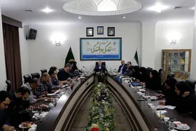 اجرای طرح زیست عفیفانه با شعار &laquo;زندگی و بالندگی&raquo; در سطح ملی