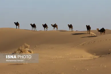 ایران زیباست | «کویر مصر»