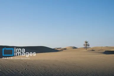 گزارش تصویری | سیستان و بلوچستان سرزمین باد و دریا