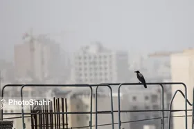 هوای کلانشهر مشهد امروز آلوده است (۲۹ بهمن ۱۴۰۳)