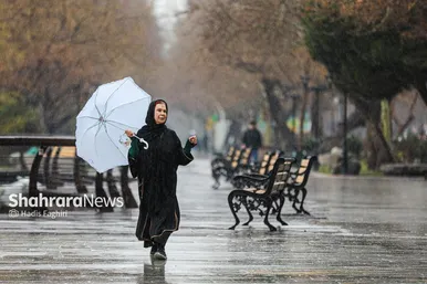 گزارش تصویری | حال و هوای بارانی مشهد | یکشنبه ۱۹ اسفند ۱۴۰۳