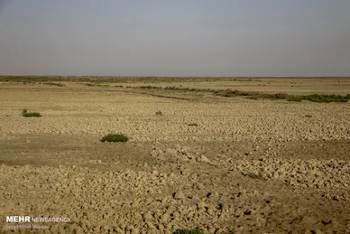 مرگ هورالعظیم