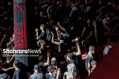 اربعین حسینی در کربلای معلی