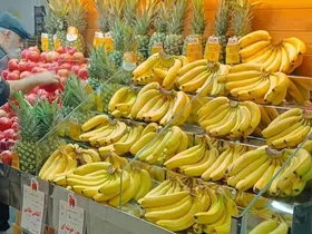 قیمت امروز میوه و صیفی&zwnj;جات در مشهد (۲۳ فروردین ۱۴۰۴) | موز کیلویی ۷۰ هزار تومان