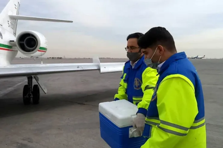 قلب پسربچه مشهدی، جان دختر تهرانی را نجات داد | پرواز قلب با فالکون ارتش + تصویر