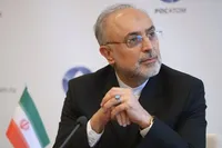 رئیس پیشین سازمان انرژی اتمی: توافق ایران و آژانس فی‌نفسه مثبت و رو به جلو است