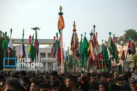 محرم ۱۴۰۴ | عکس&zwnj;هایی از آیین سنتی &laquo;عَلَم پیغمبر&raquo; در میناب