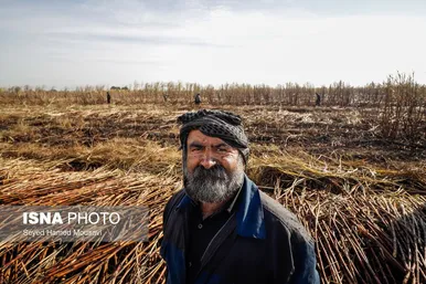 ایران زیباست | از نی تا شکر